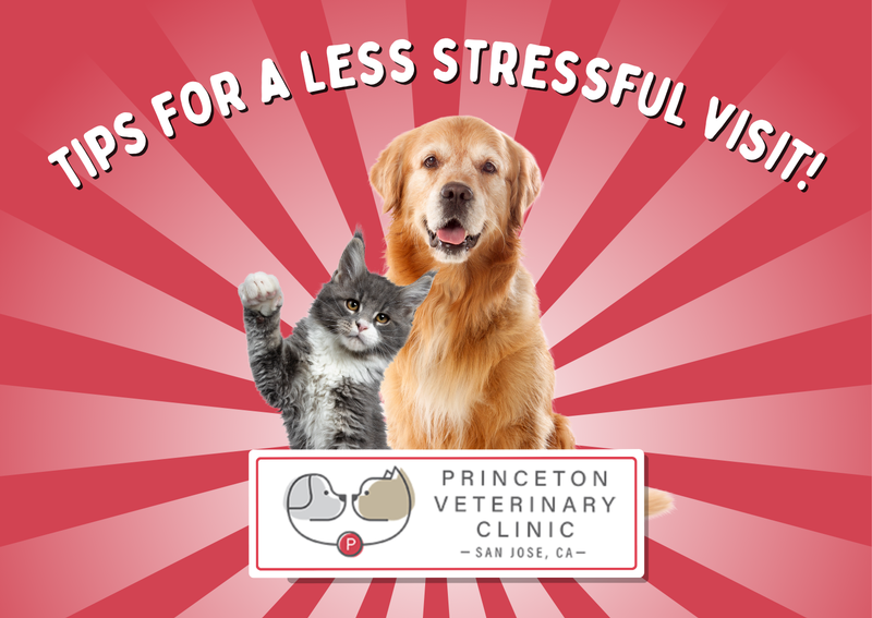 Carousel Slide 1: Click to Learn More!