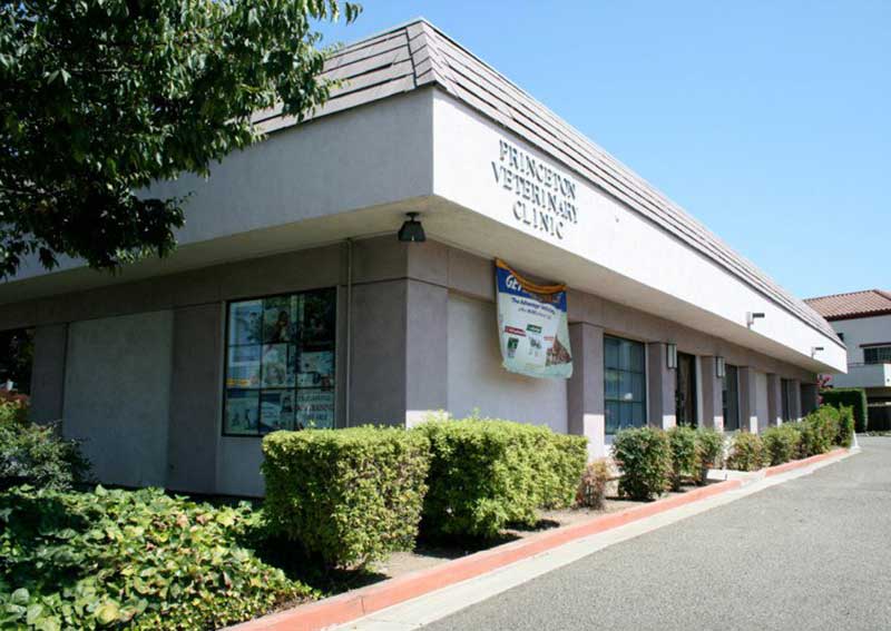 Carousel Slide 1: Princeton Veterinary Clinic Exterior Front Entrance