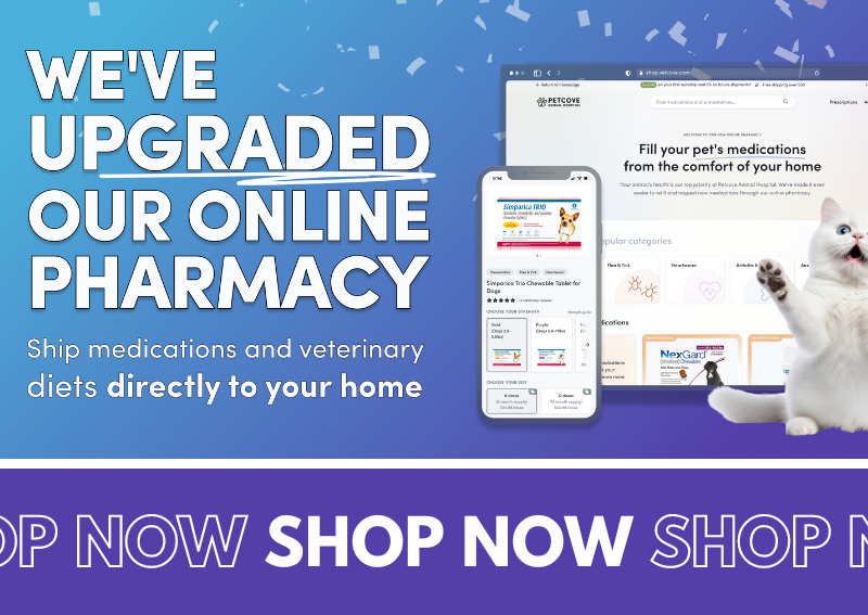 Carousel Slide 3: Shop Our Online Pharmacy >