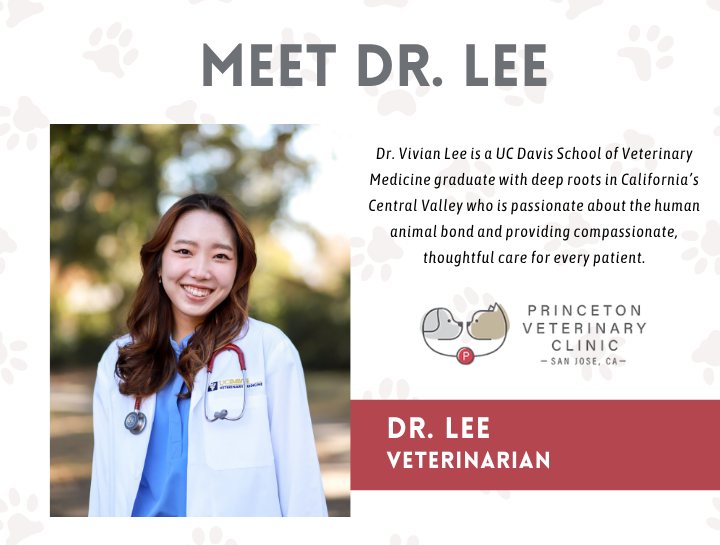 Please Join Us in Welcoming Dr. Vivian Lee!